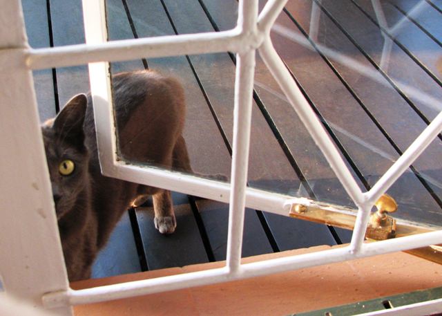 First-ever photo of Smokey