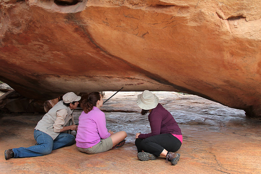 looking at paintings
