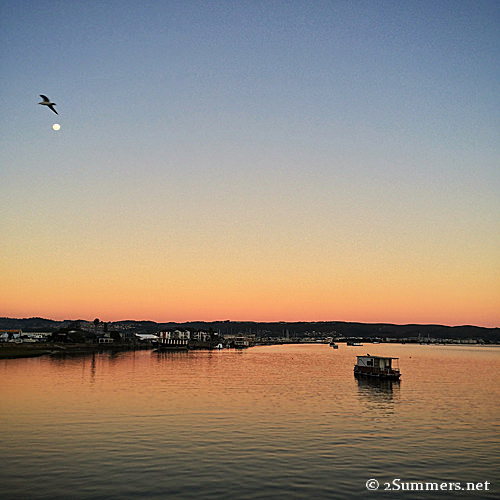 Having Fun in Knysna: My Top Five Picks