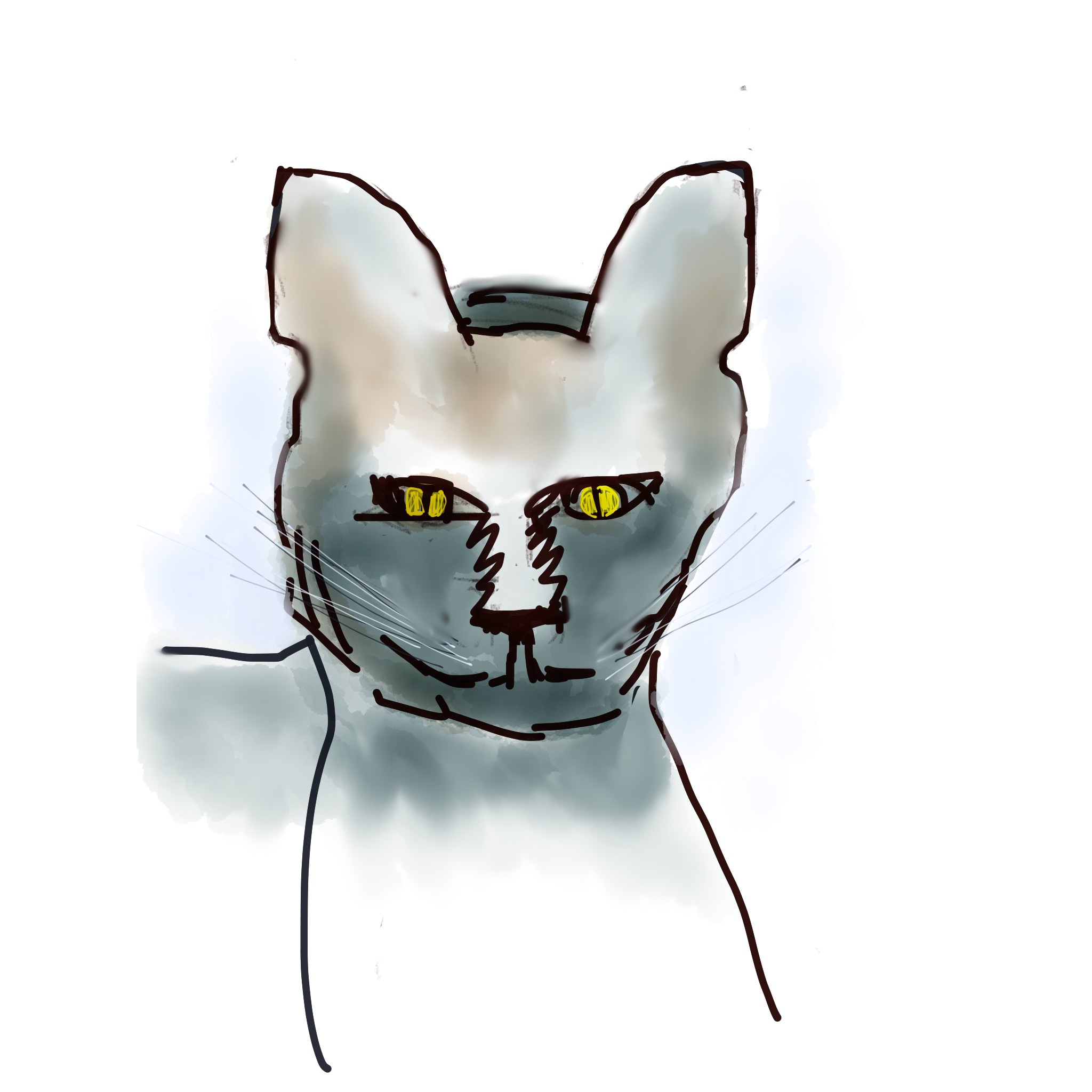 From the Melville Cat: Yes, I’m Still Here. 2Summers Is Too.