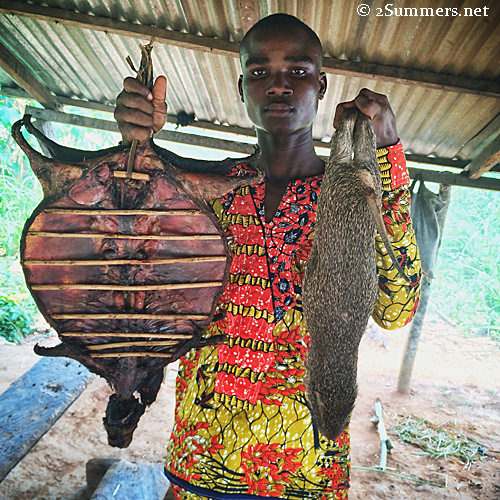 Pop-Up Travel: Cane Rats in Ghana