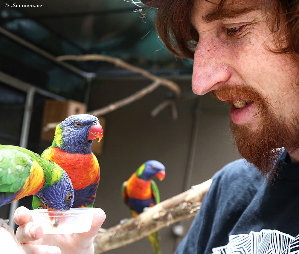 A Year of Making Space