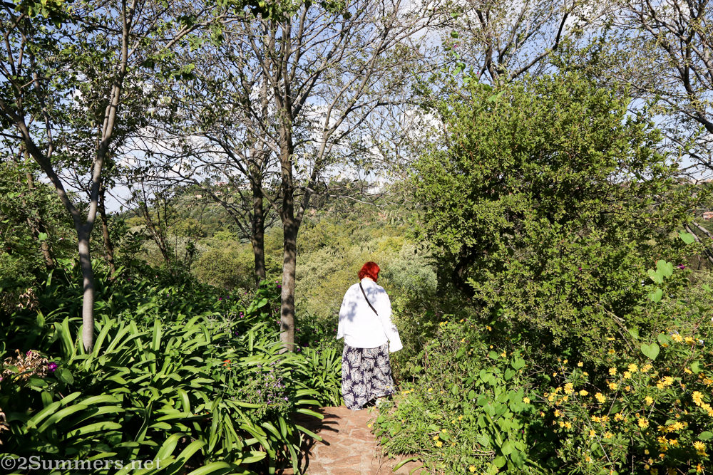 The Wilds: Joburg’s Controversial Garden of Eden