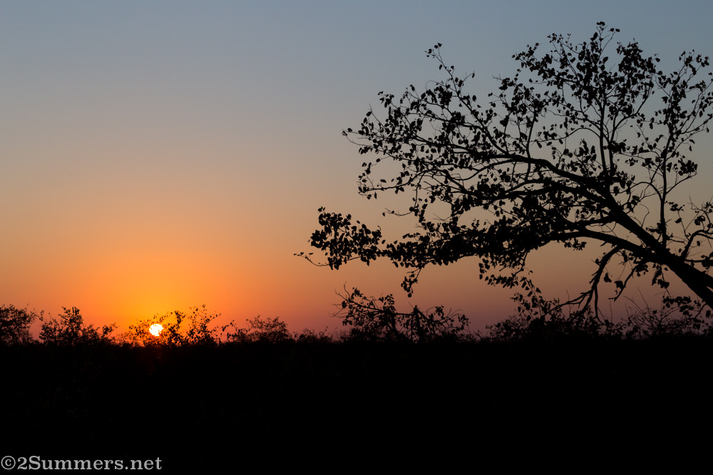 Kruger sunrise