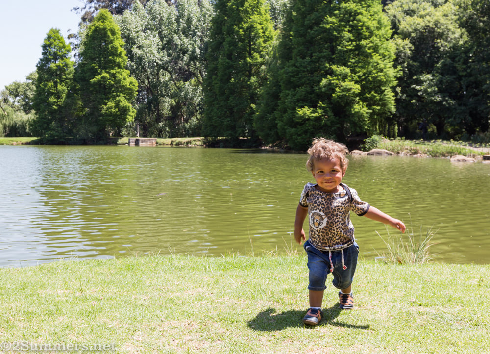 #Gauteng52, Week 42: Kensington’s Rhodes Park