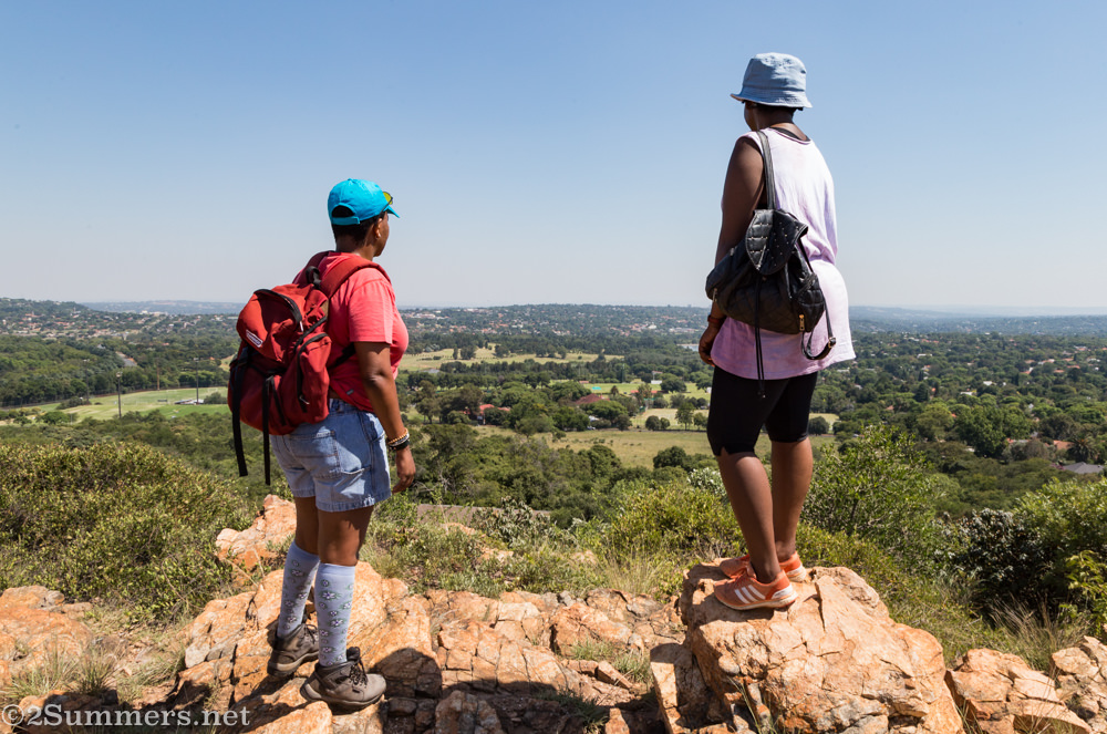 Looking to the north from the Melville Koppies