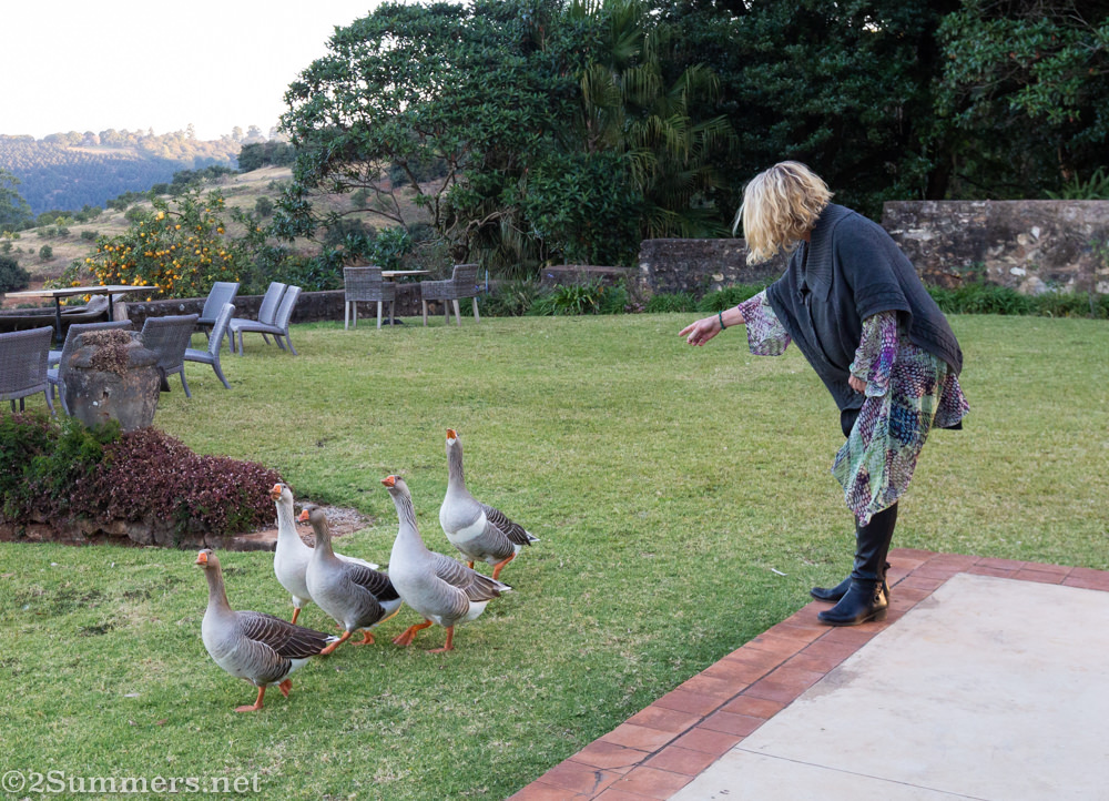 Bridget Hilton-Barber and her geese at Kings Walden in Limpopo.