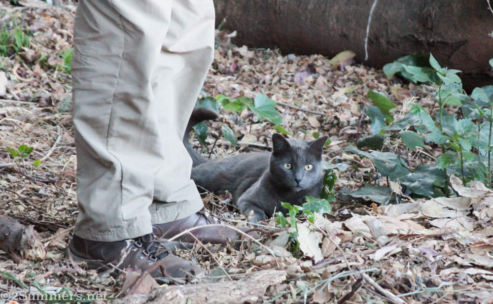 Lockdown Journal: Day 32 (Time Travel)