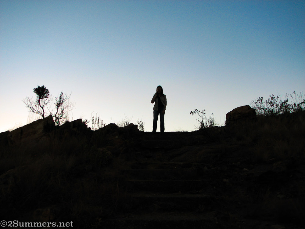 Ten Years of 2Summers (Lockdown Day 92)