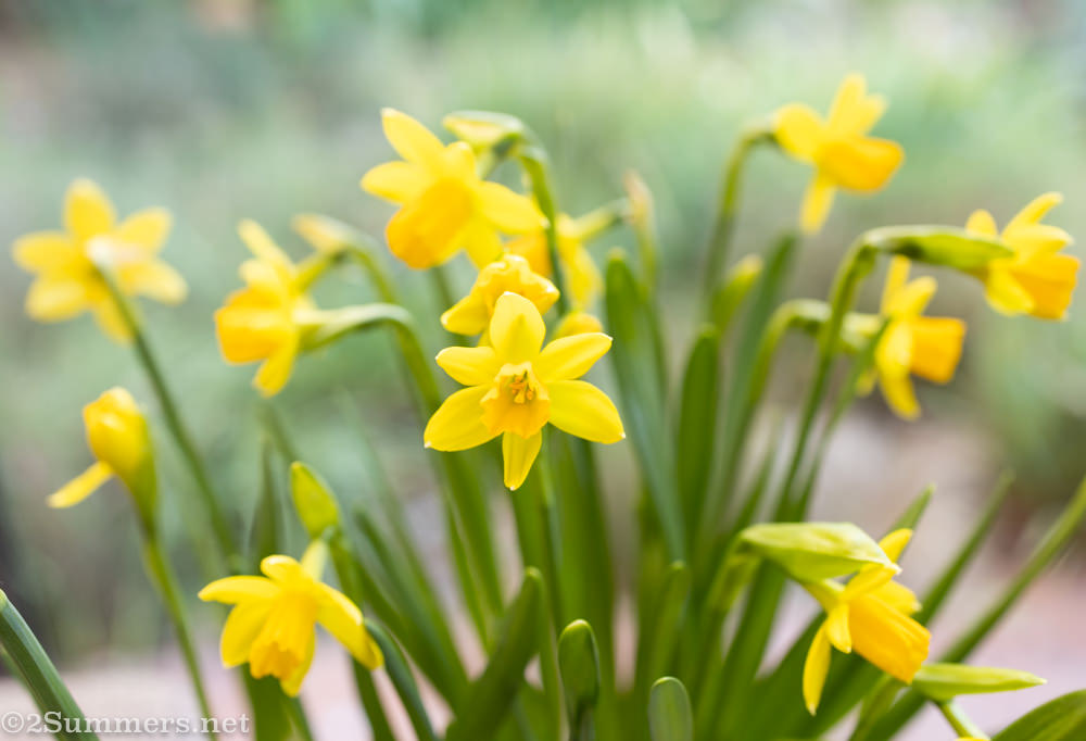 I’m Back: An Un-numbered Lockdown Post