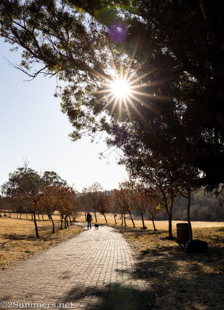 Walking in Emmarentia Dam