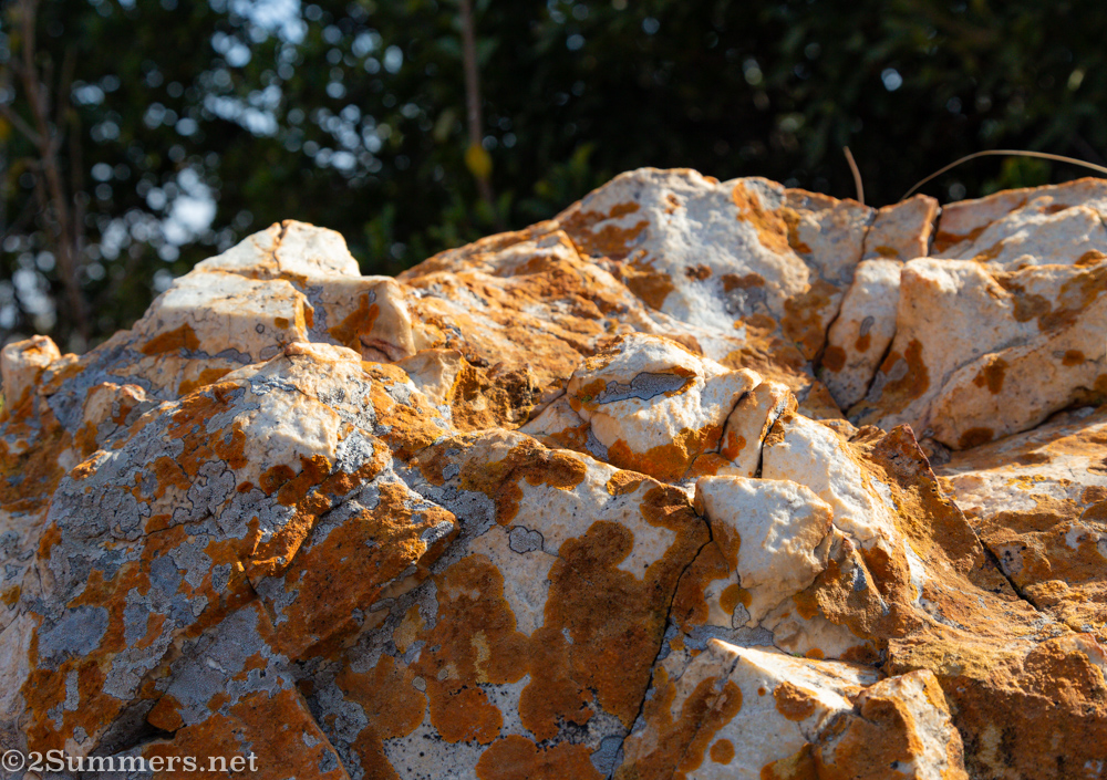 Rocks in the Koppies