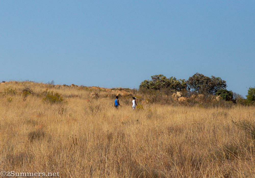 People walking on the Koppies