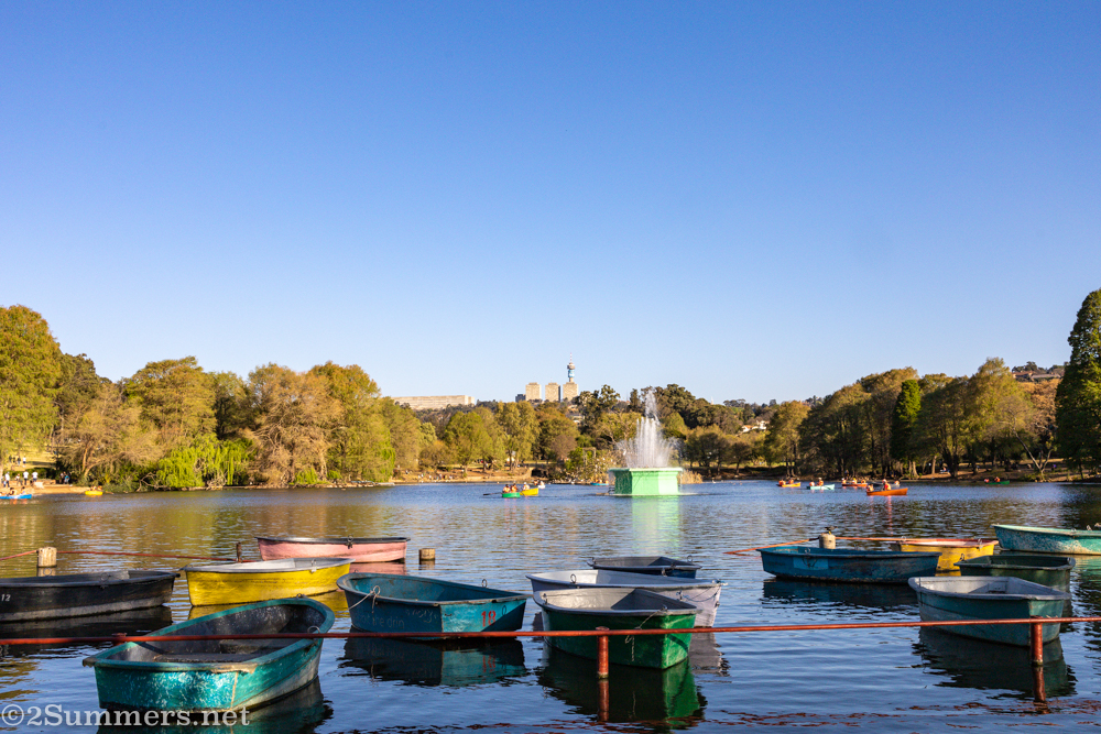 Zoo Lake row boats