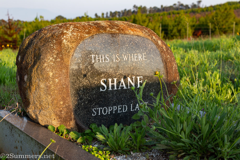 Shane's grave
