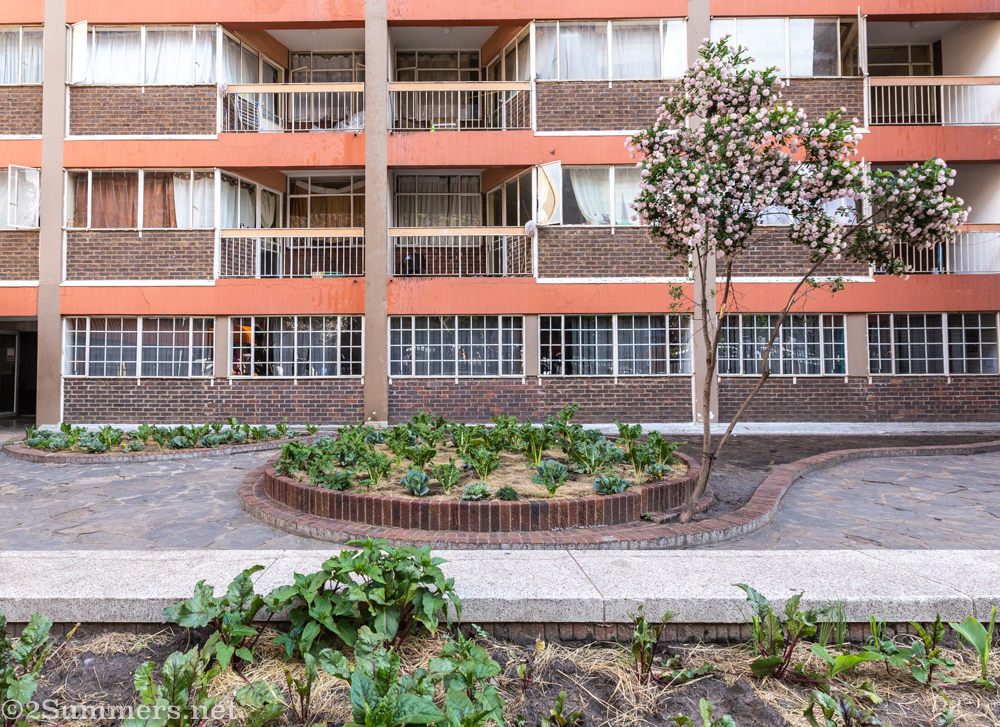 Garden on O'Reilly Road, Berea