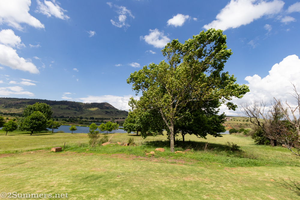 A Green and Blue Wonderland at Walkersons