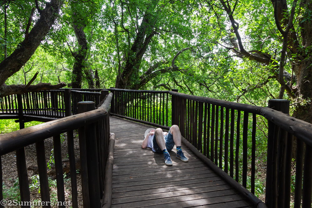 Thorsten lying down inside the tree
