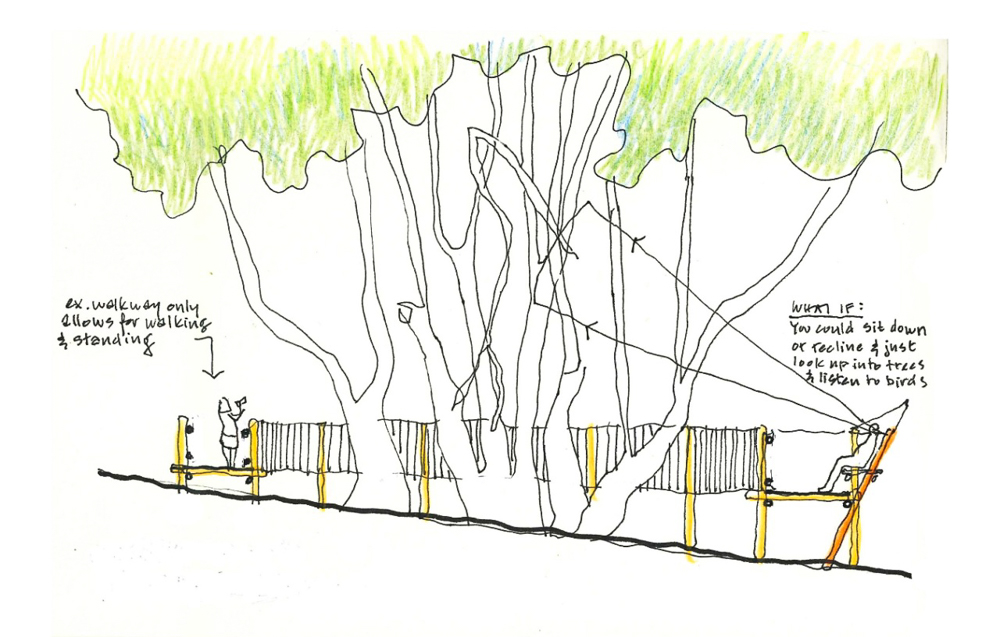 Thorsten tree sketch