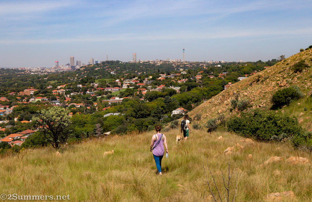 View of the city skyline from the Ridge