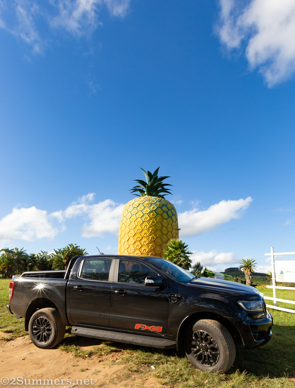 FX4 in front of the Big Pineapple