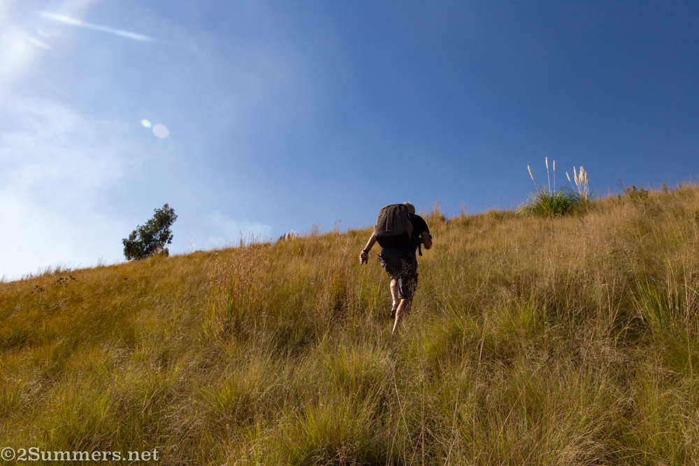 Dominique running up the hill