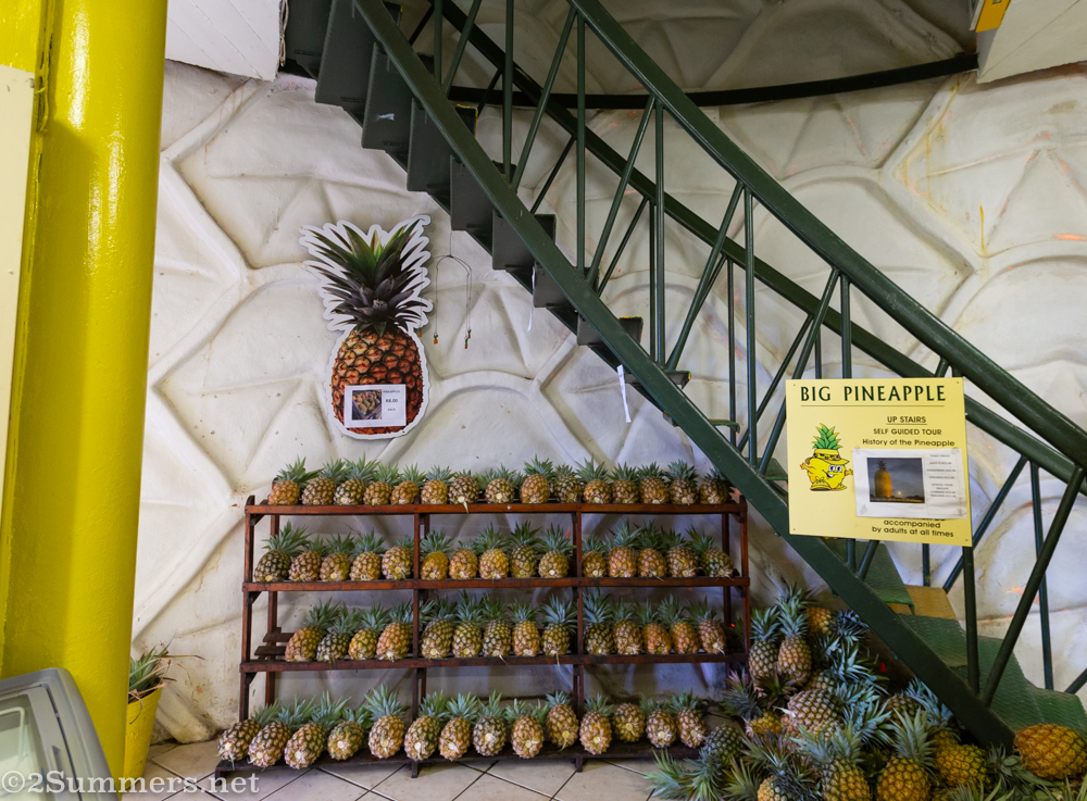 Pineapples for sale