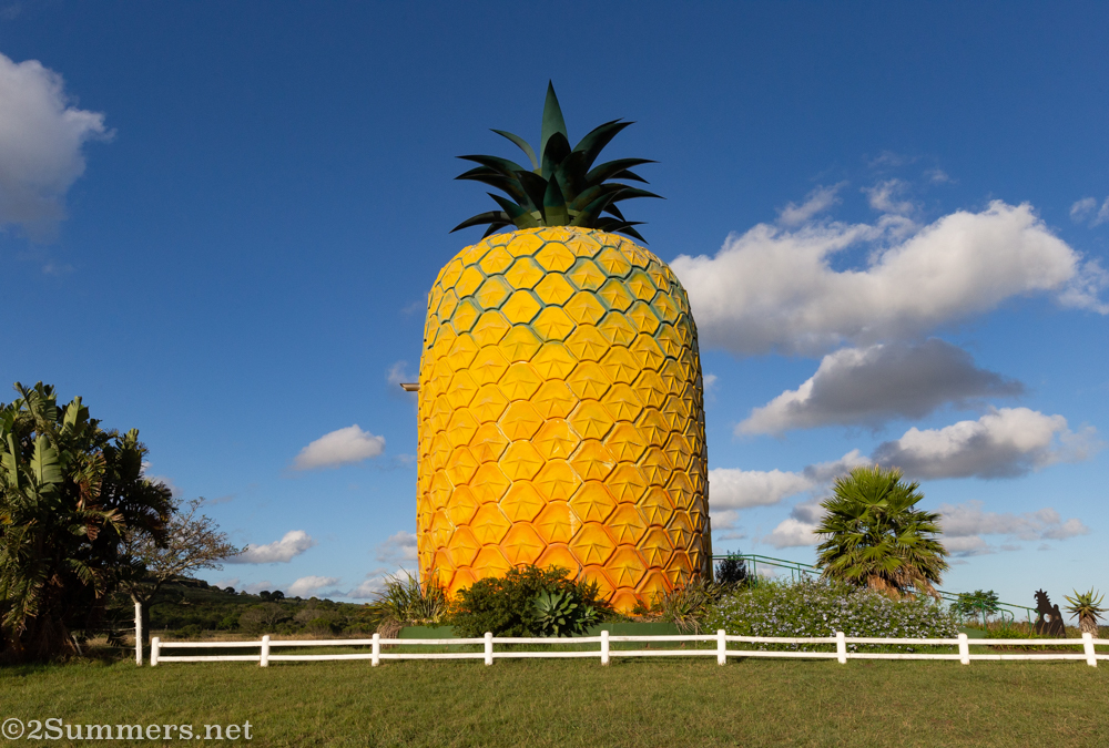Pilgrimage to the Big Pineapple