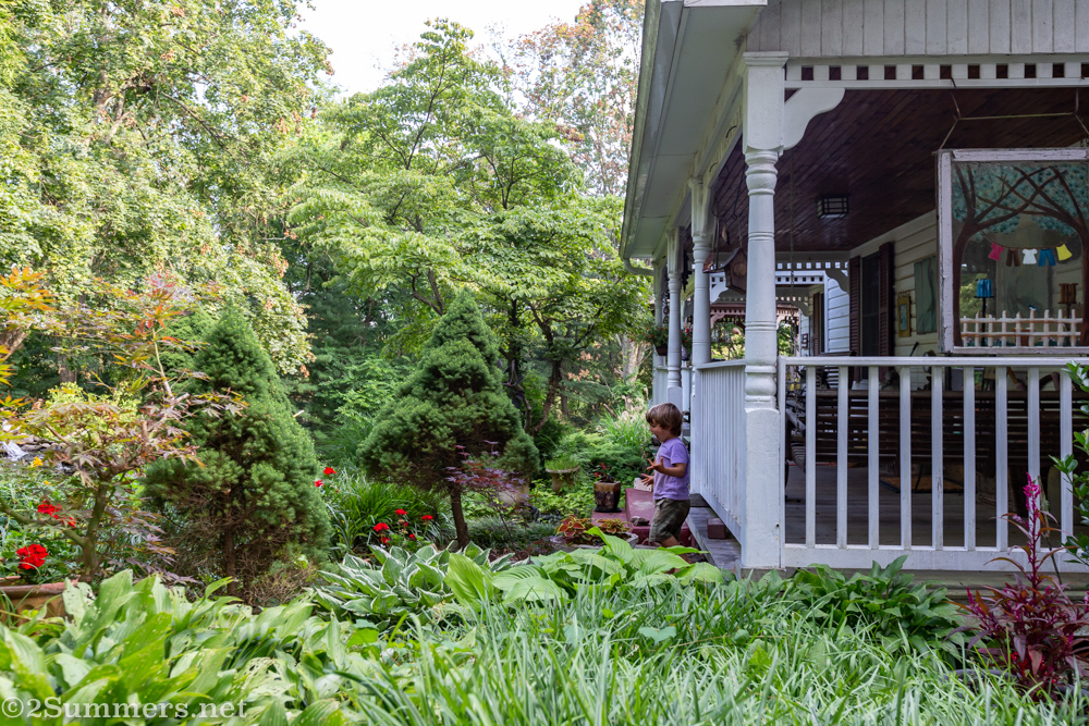 Another look at Dad's garden
