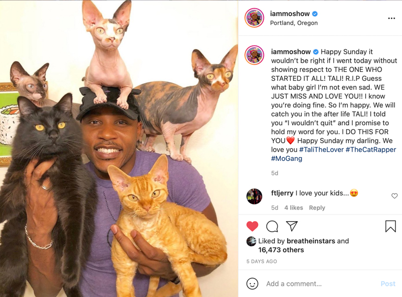 The 2Summers 2021 Support Group: 3 Influencers Who Make Me Happy