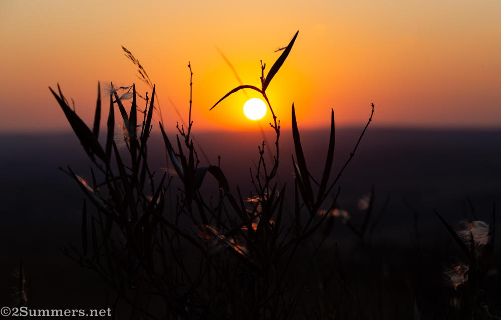 Sunset in the Cradle of Humankind