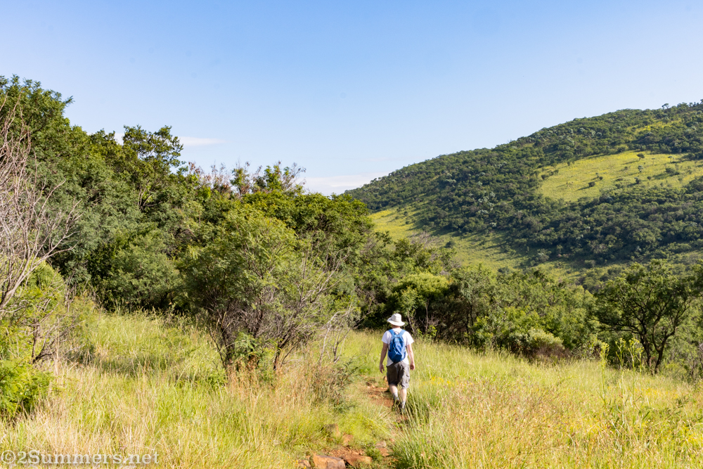 The Joburg City Park You Must Visit in 2022