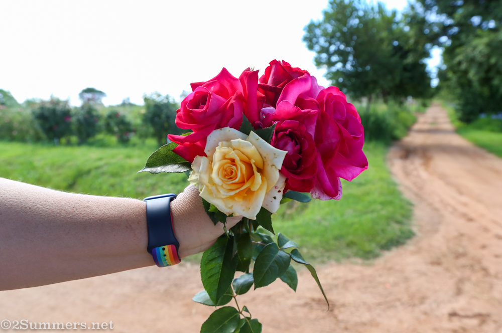 Rose bouquet at Ludwig's