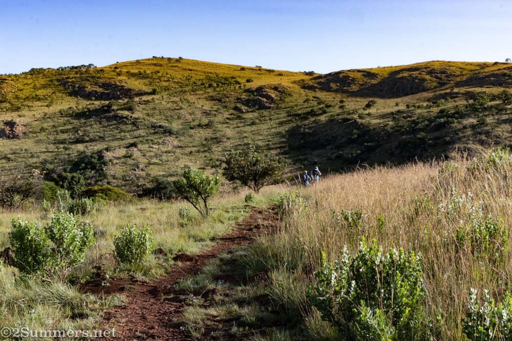 Trail runners in Kloofendal