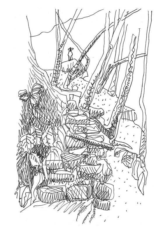 Thorsten sketch of Skeleton Gorge