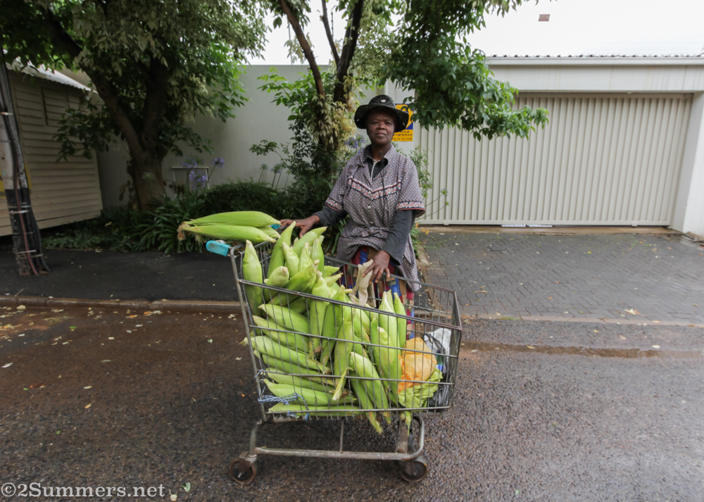 Call of the Melville Mielie Lady