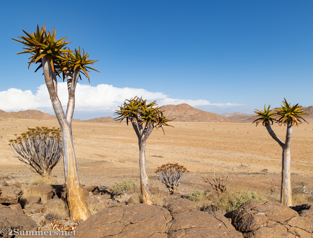 An Epic Journey Across Southern Namibia