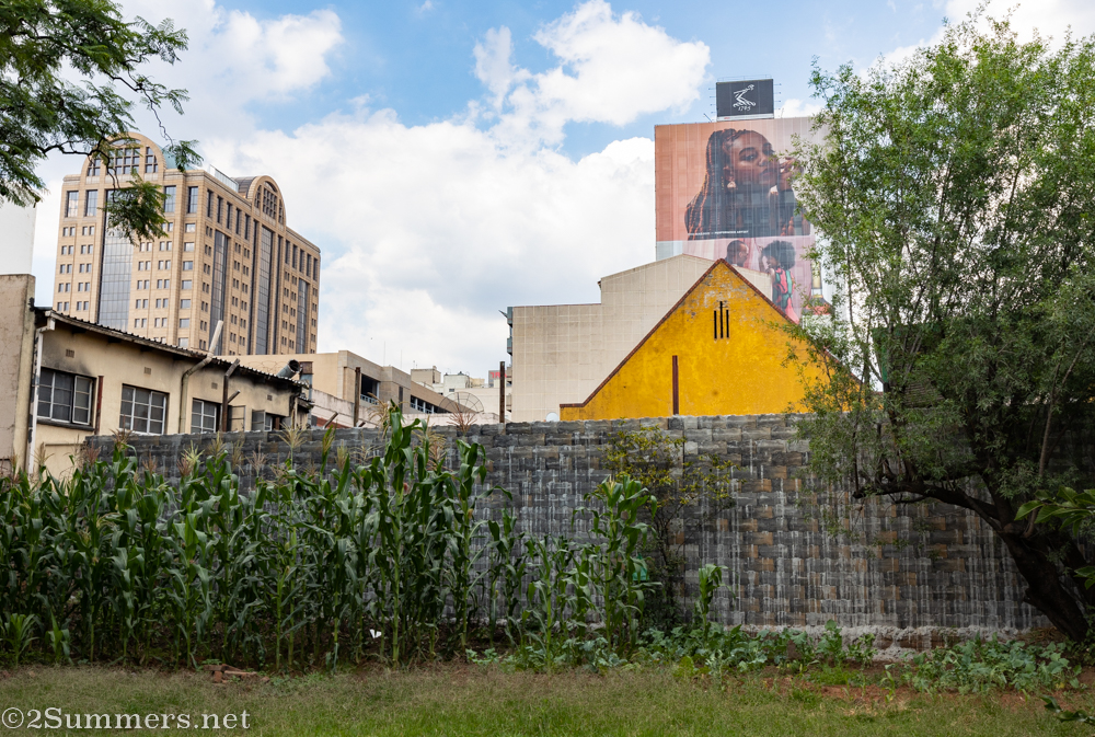 Glimpse of downtown Joburg from the St. Alban's Church garden