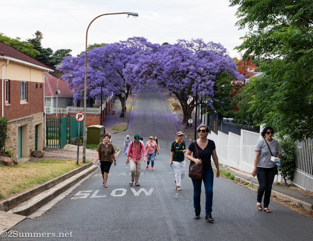 Walkers walking uphill