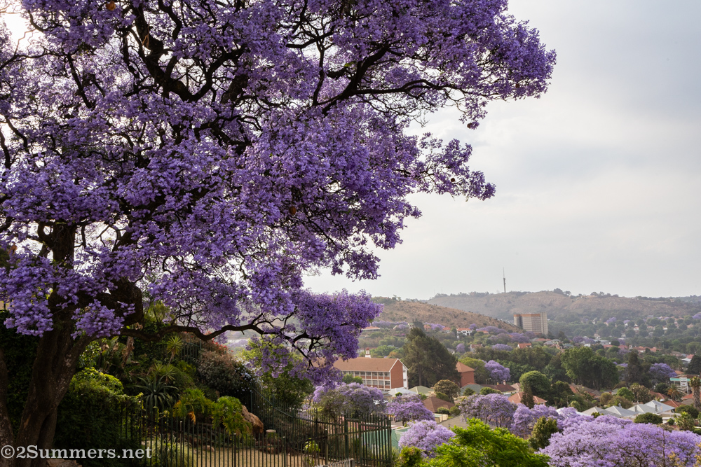 View from Fish Bird Villa
