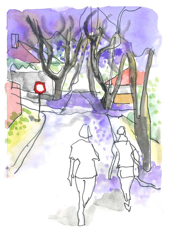 Thorsten jacaranda sketch