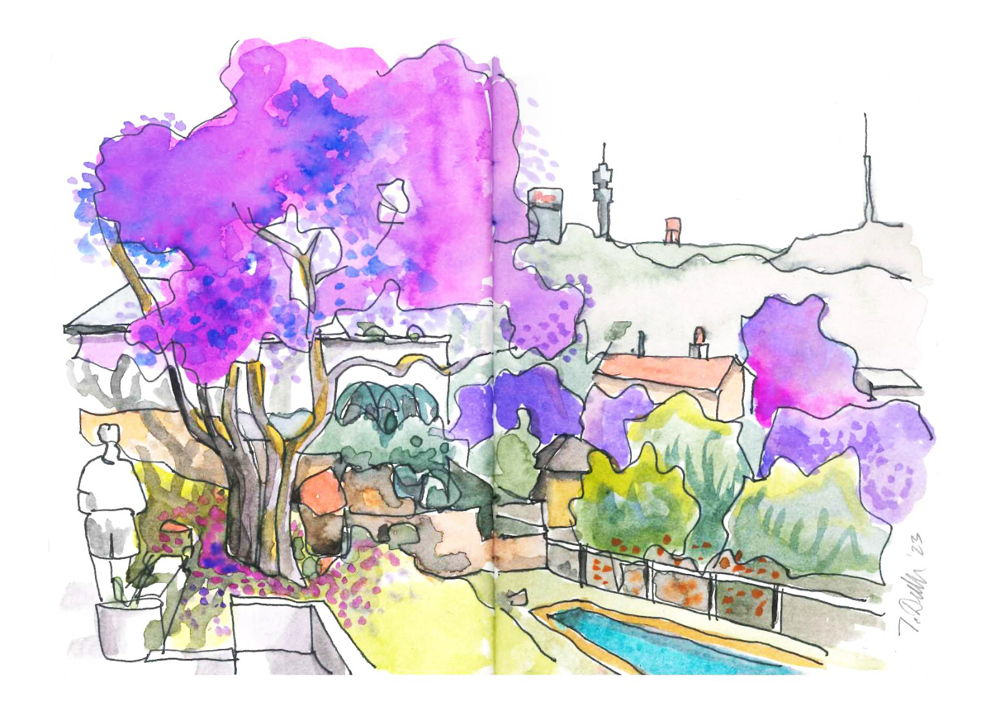 Sketch from Fishbird Villa