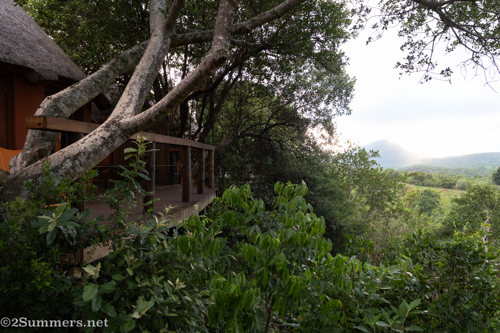 View from the terrace