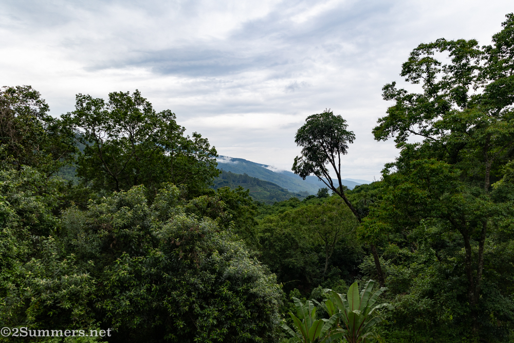 View from the porch at Frida's View