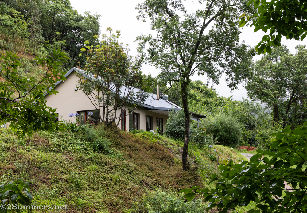 Looking up at Frida's View in Magoebaskloof