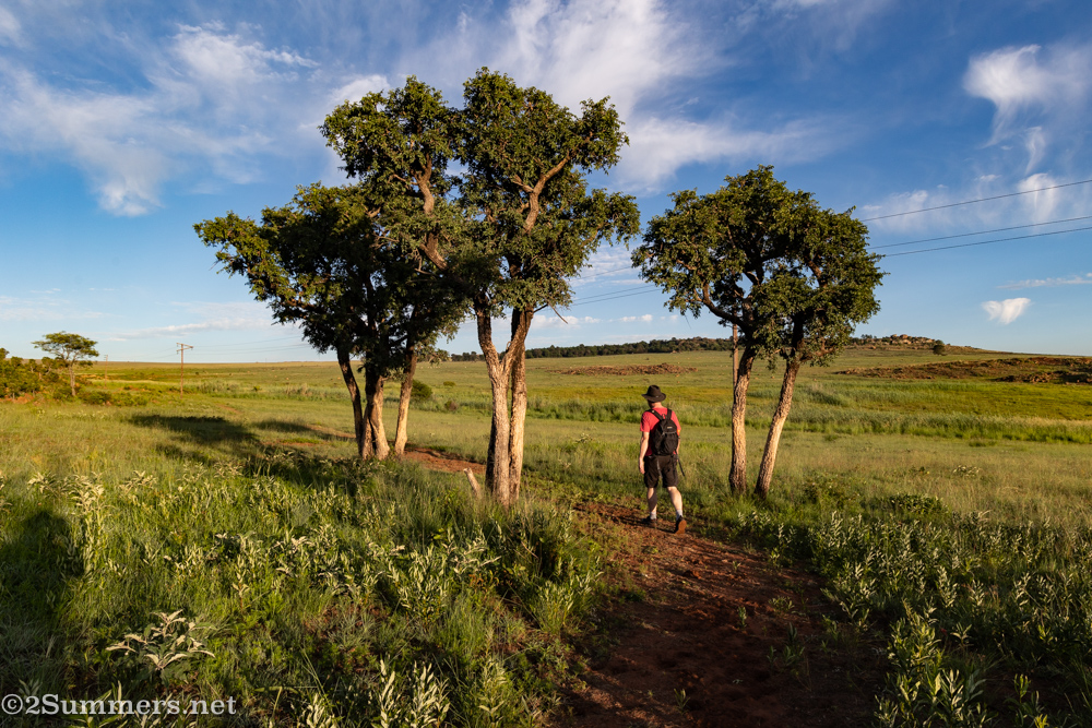 Ezemvelo: Great Hiking Close to Joburg