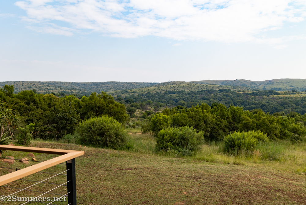 View from the hotel restaurant