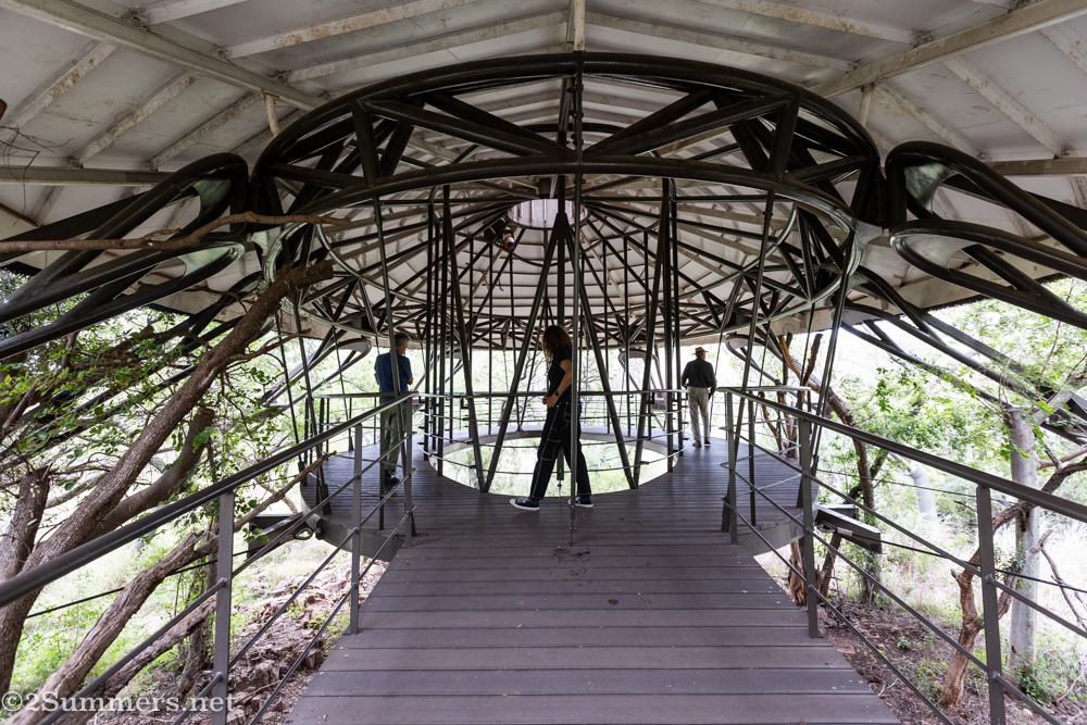 Hunting for Fossils in the Cradle of Humankind