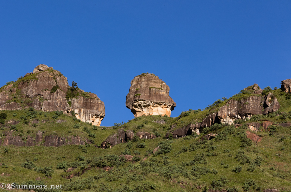 Policeman's Helmet on the Tugela Gorge hike
