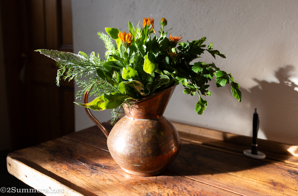 Flowers at Stuurmansfontein